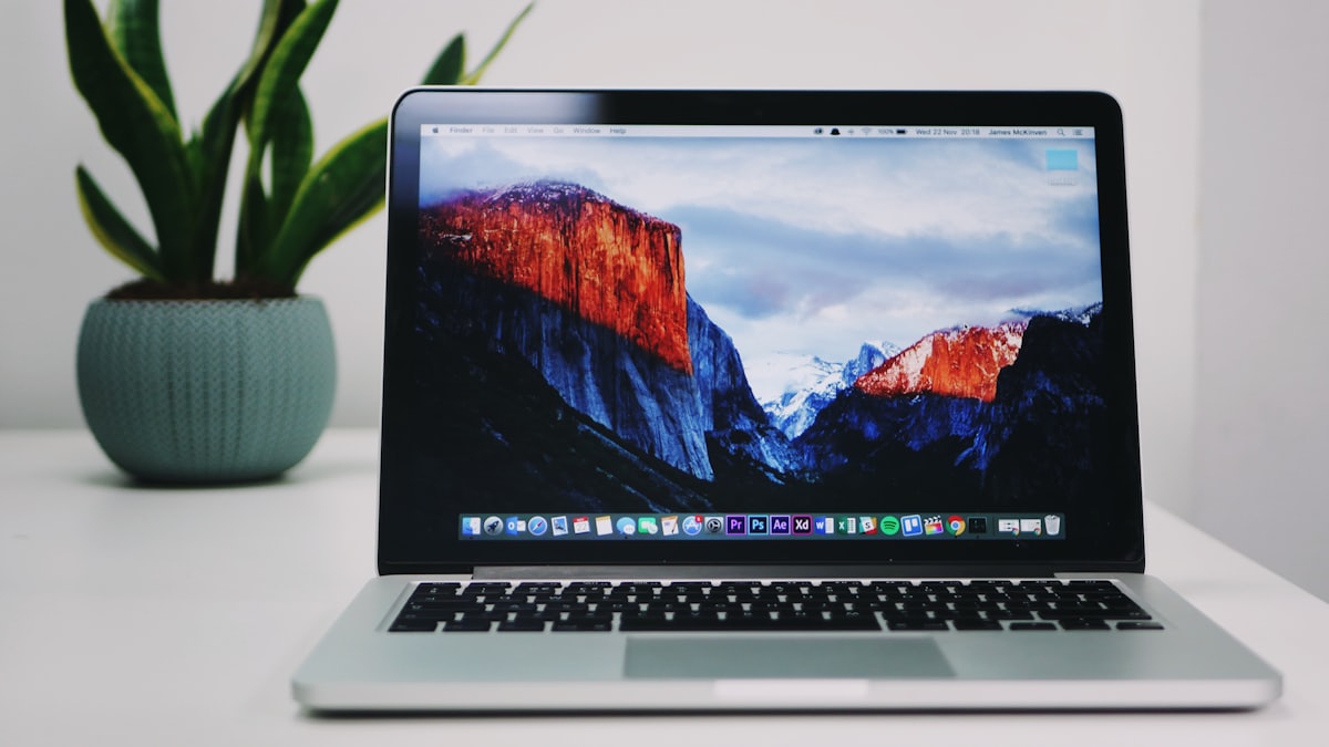 An open laptop on a desk next to a potted plant